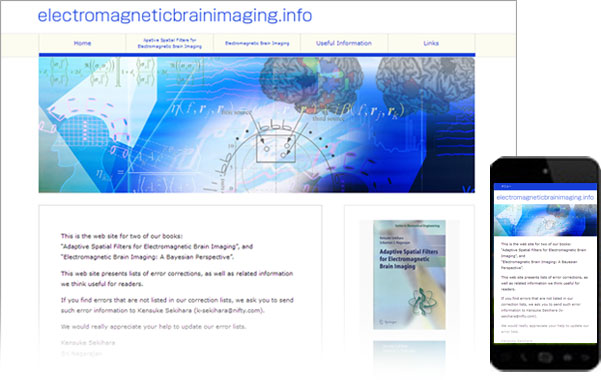 electromagneticbrain
imaging.info